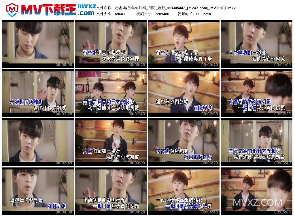 赵鑫-这些年你好吗_国语_流行_MB305447